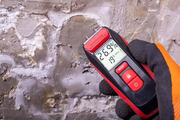 Best Crawl Space Mold Remediation in South San Jose Hills, CA