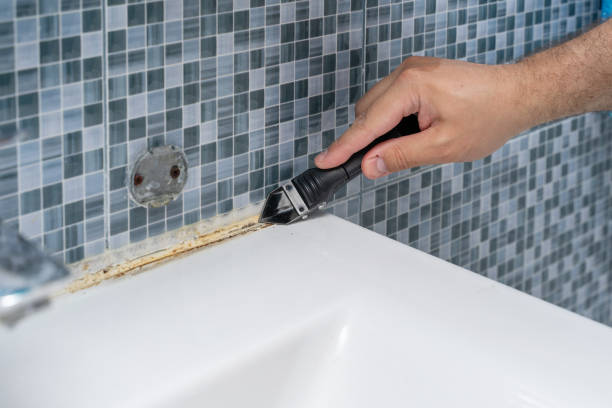 Best Mold Testing and Inspection Services in South San Jose Hills, CA